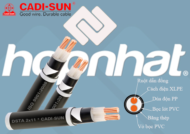 Cáp đồng ngầm 2 ruột DSTA 2x10, Cáp đồng ngầm Cadisun 2x10